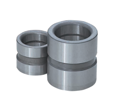  Bạc Dẫn Hướng GBSE