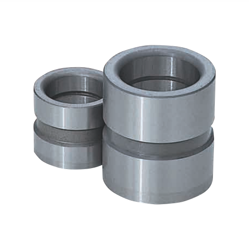  Bạc Dẫn Hướng GBSE