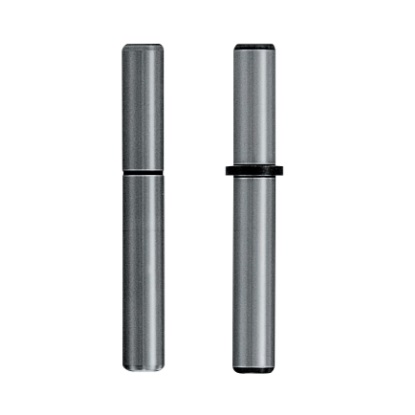 Stripper Guide Pins-Detachable And Both Ends Tapped Type SGPWS_SGPWH